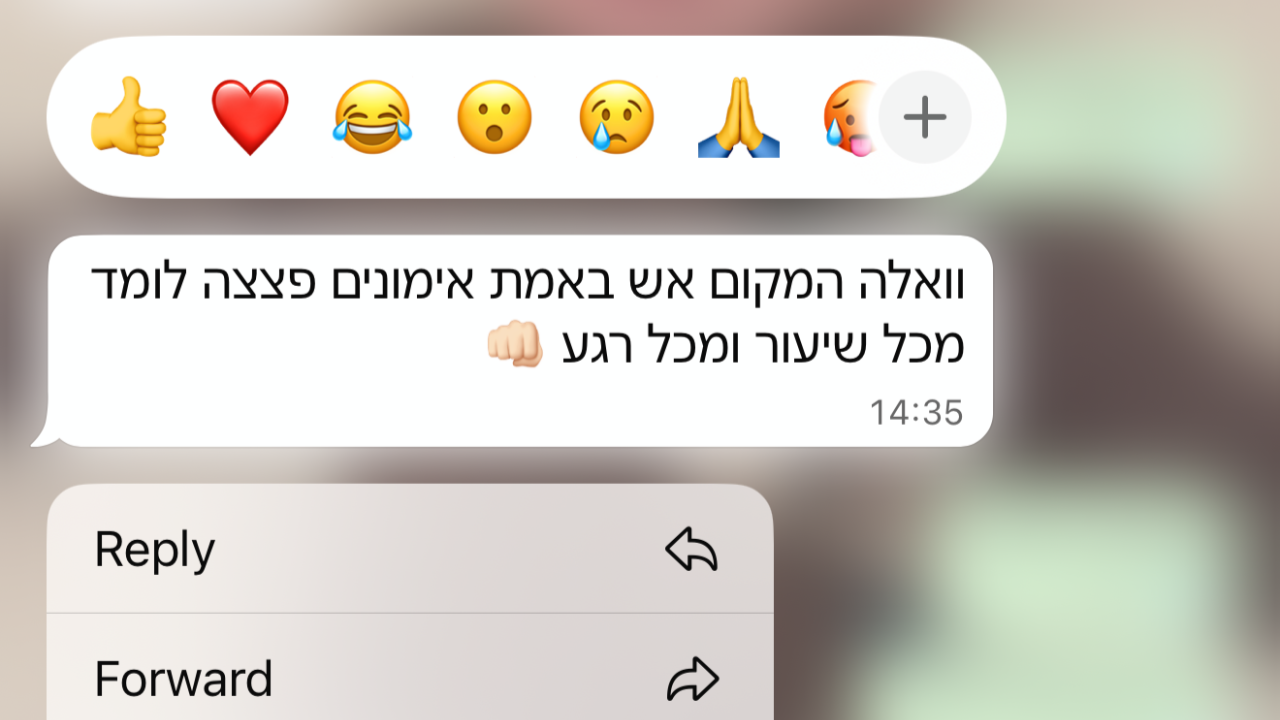 המלצה מהורים